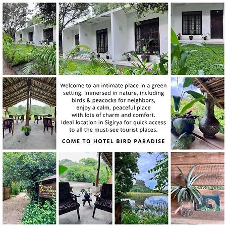 Bird Paradise Hotel Sigiriya Bagian luar foto