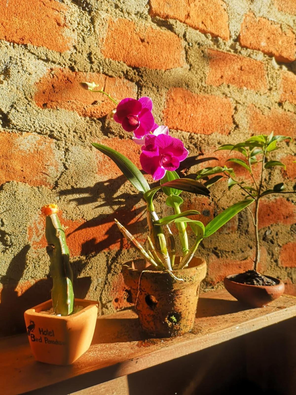 Bird Paradise Hotel Sigiriya Bagian luar foto