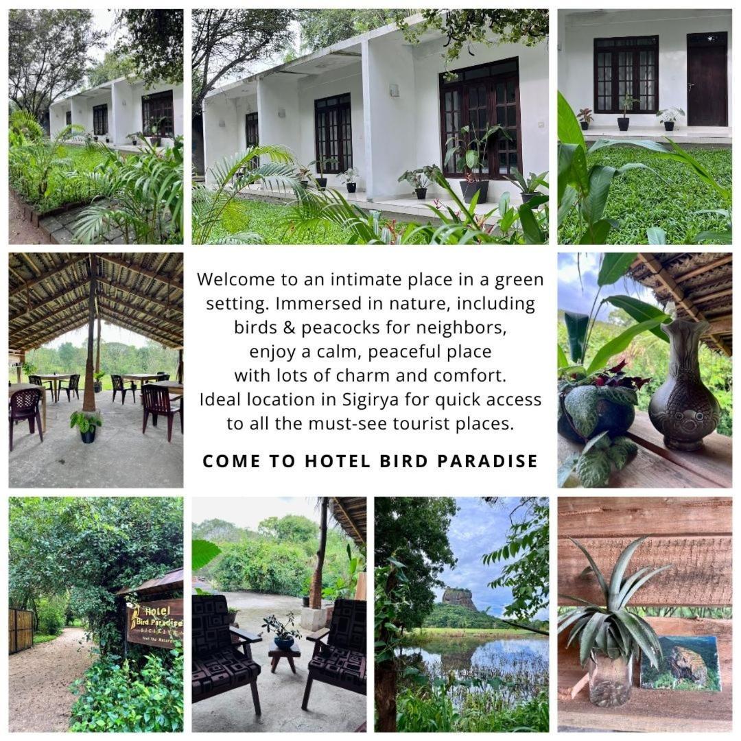 Bird Paradise Hotel Sigiriya Bagian luar foto